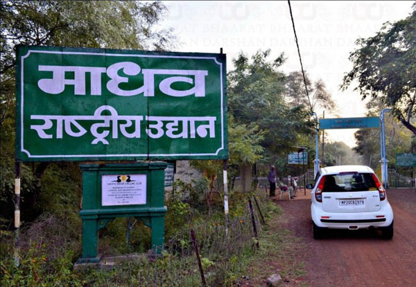 Madhav National Park