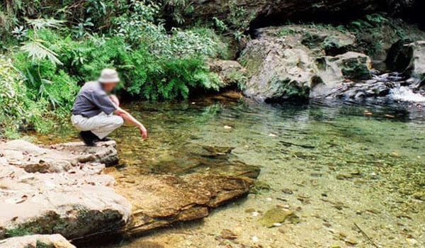 Irene Pool waterfall Pachmarhi